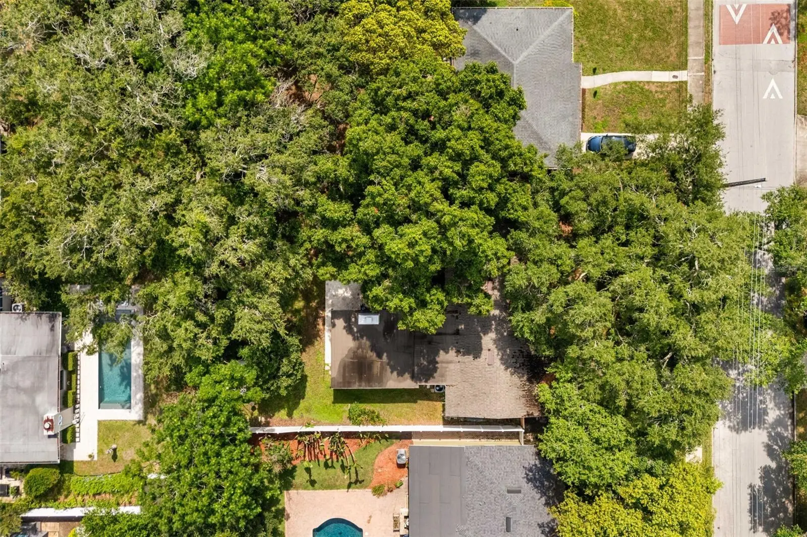 2909 Hargill Drive, FL