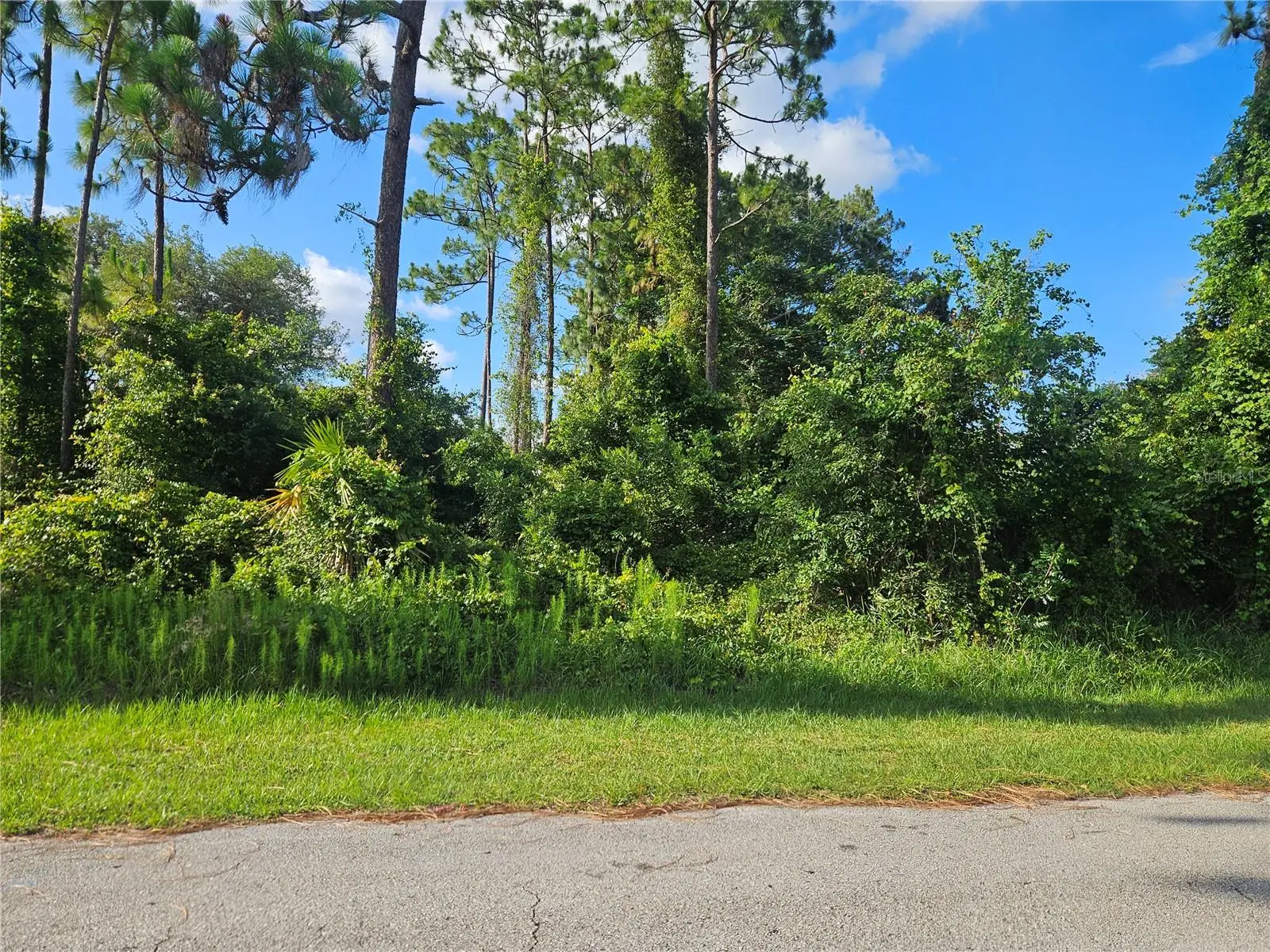 2318 Whitehorse Street, FL