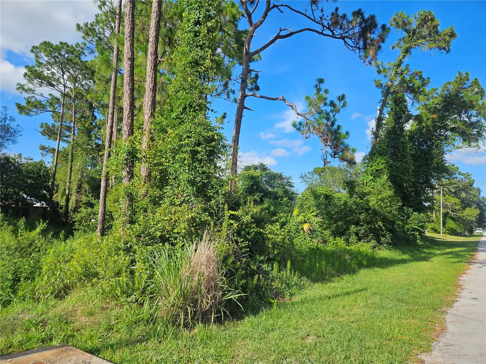 2318 Whitehorse Street, FL
