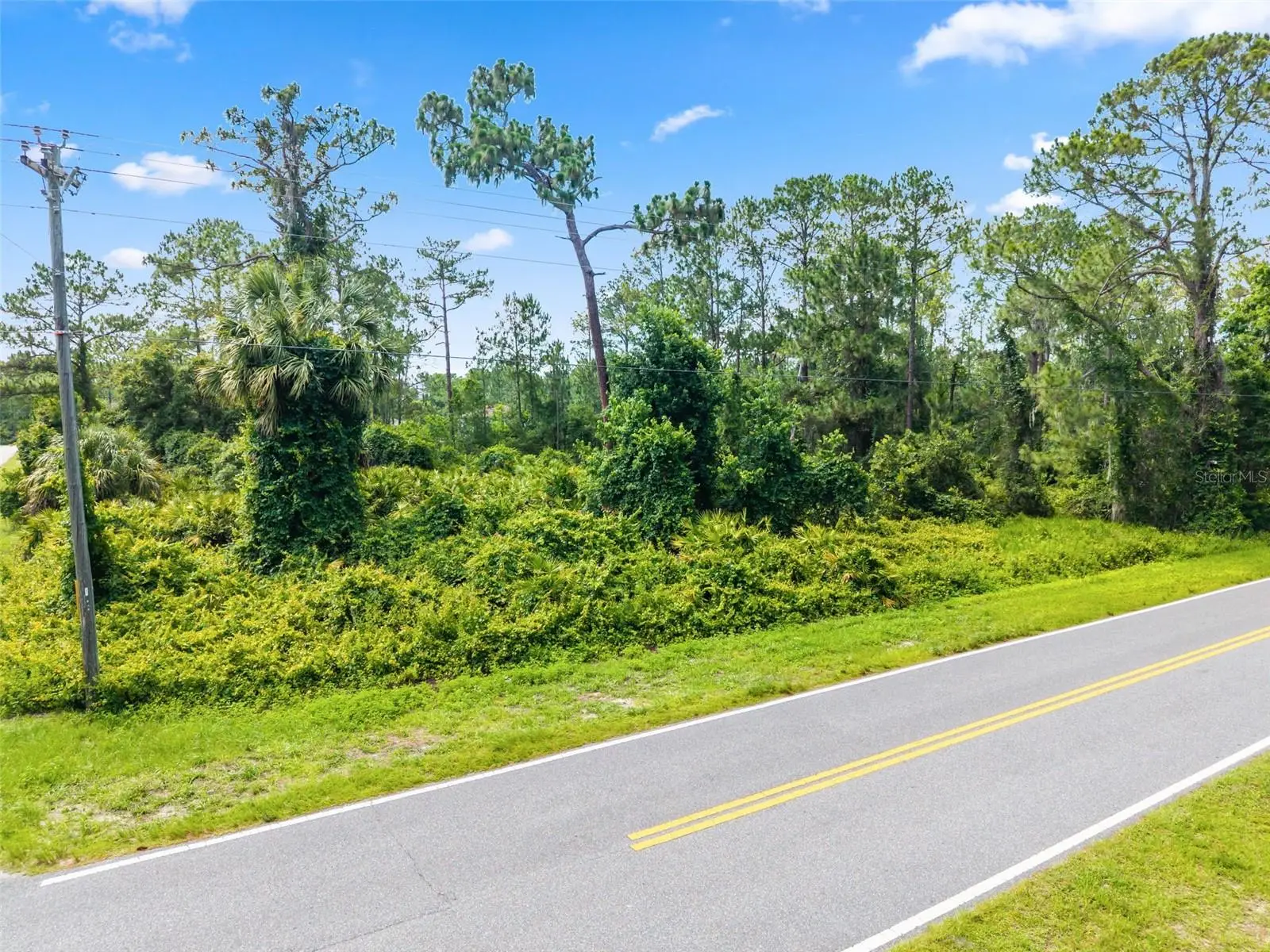 Royal Trails Road, FL