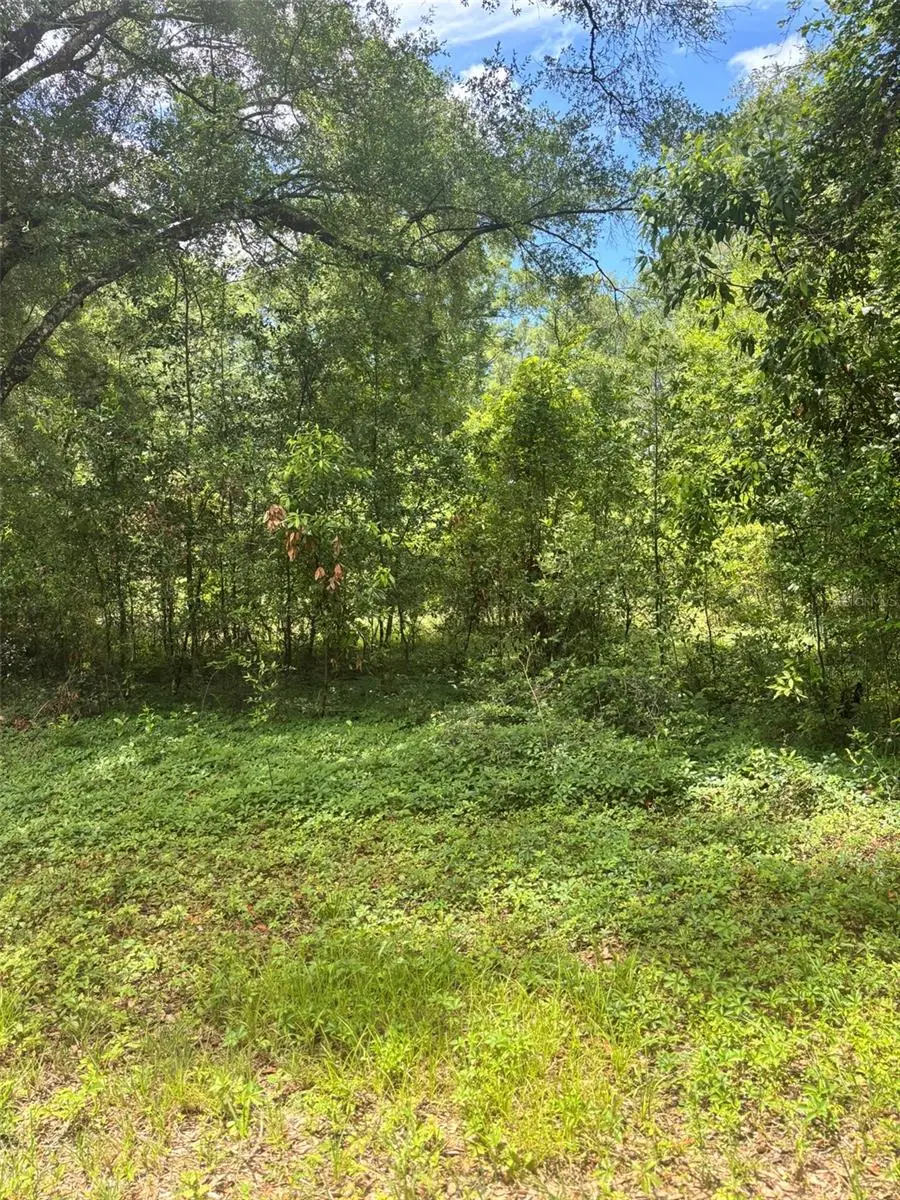 8230 166th Street, FL