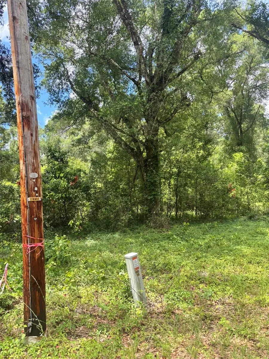8230 166th Street, FL