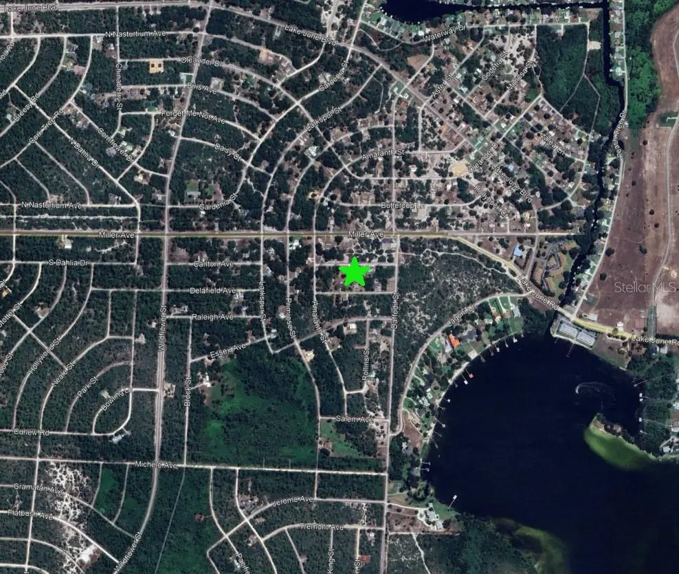3110 Concord Avenue, FL
