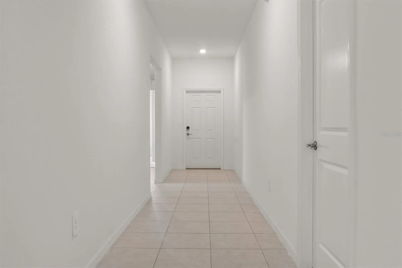 1856 Red Loop, FL