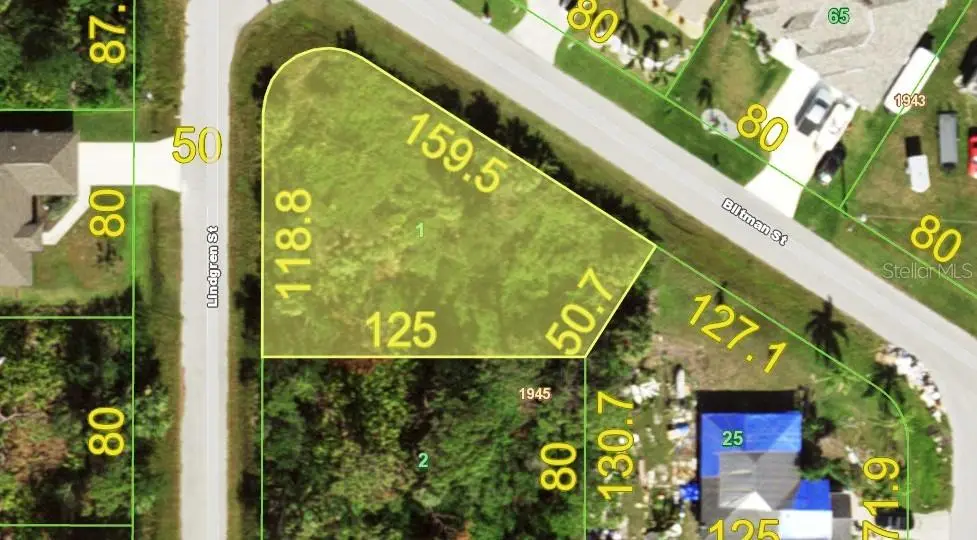 3428 Lindgreen Street, FL