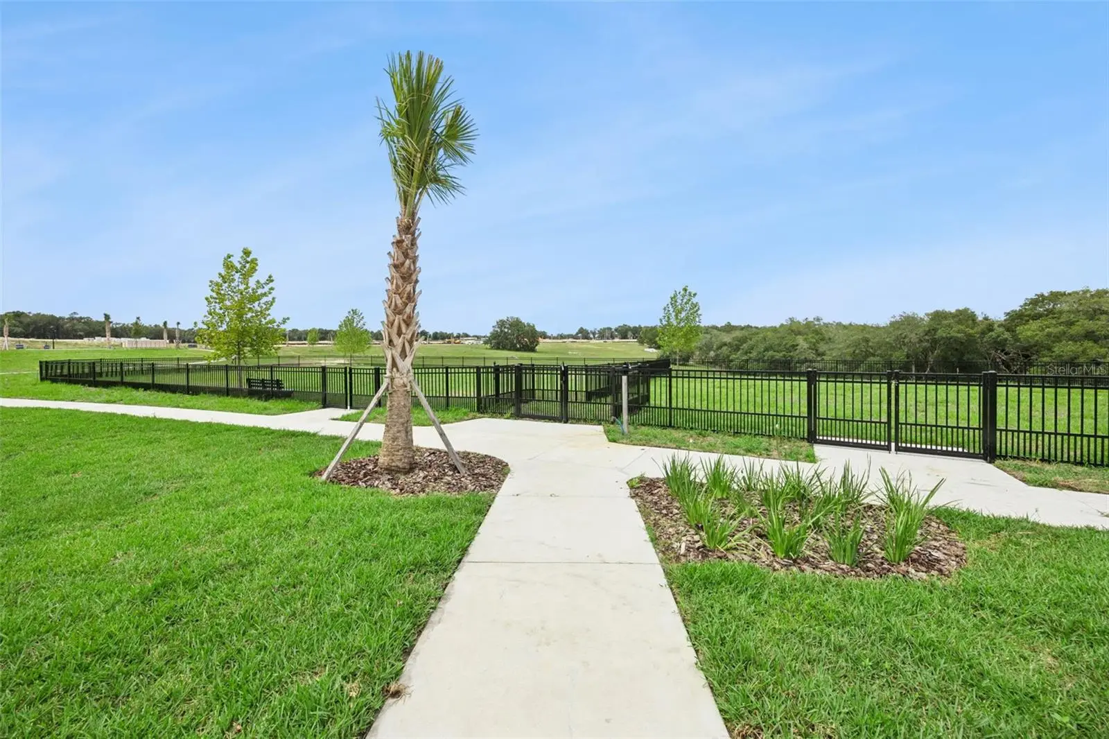 5174 Blanket Flower Street, FL
