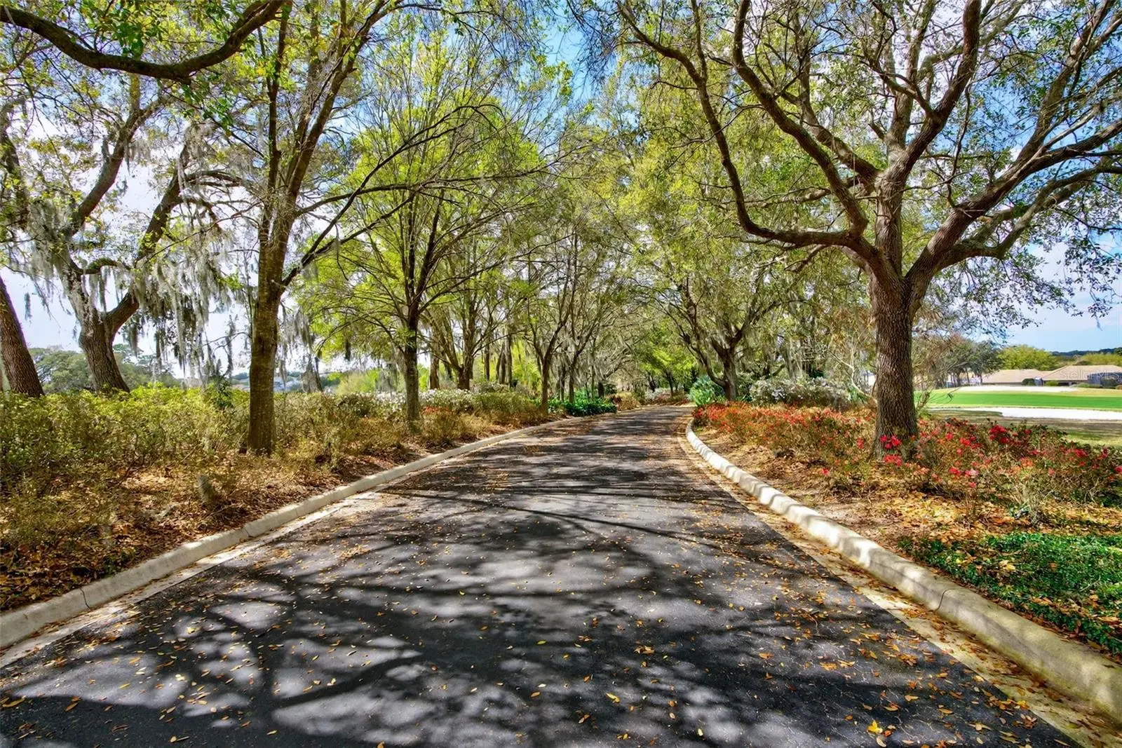 1105 Pointe Vista Path, FL
