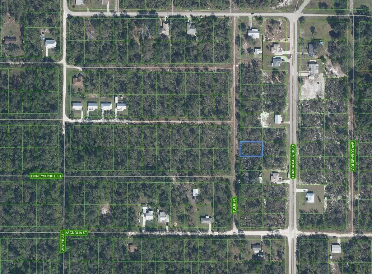7020 Tulip Place, FL