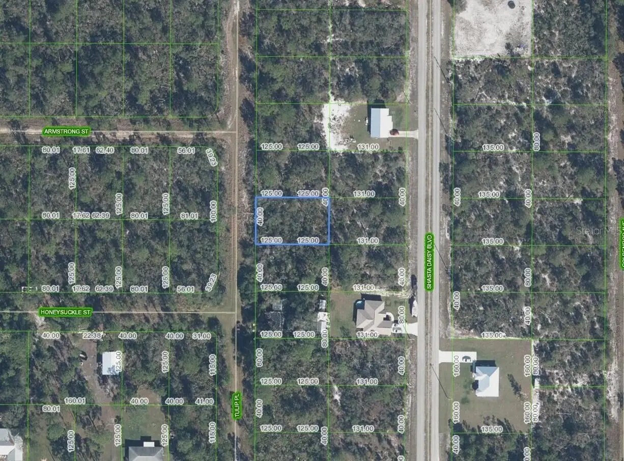 7020 Tulip Place, FL