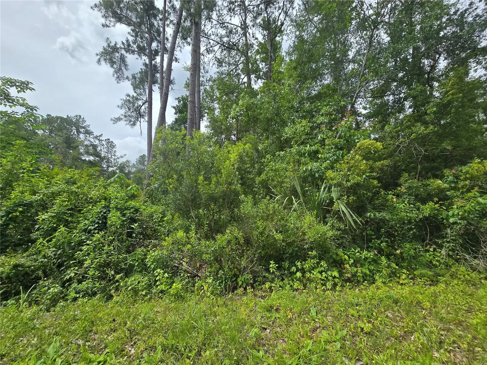 320 Sequoia Drive, FL