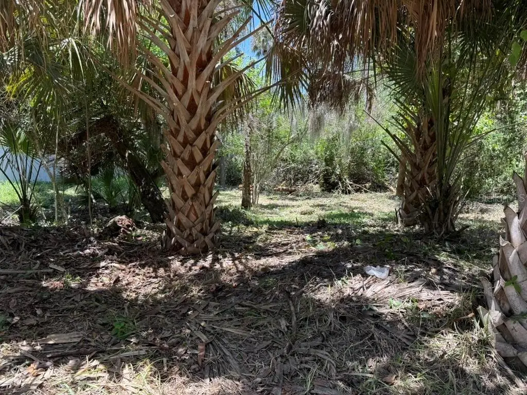 110 Oak Street, FL