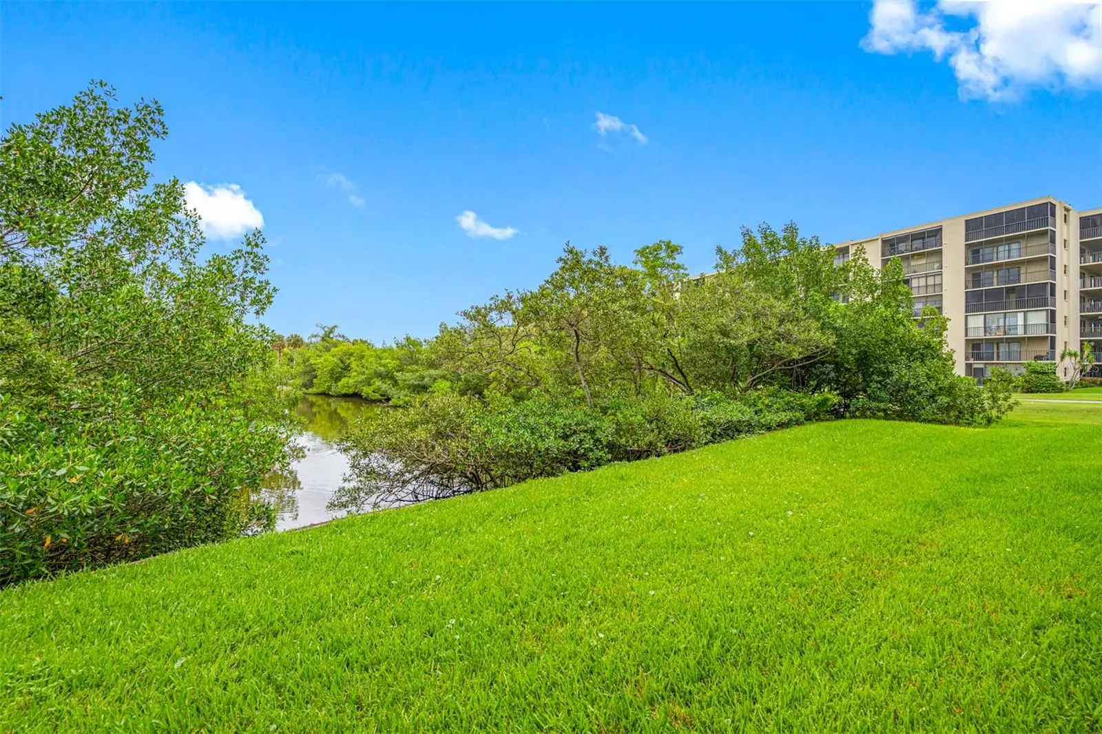 900 Cove Cay Drive, FL