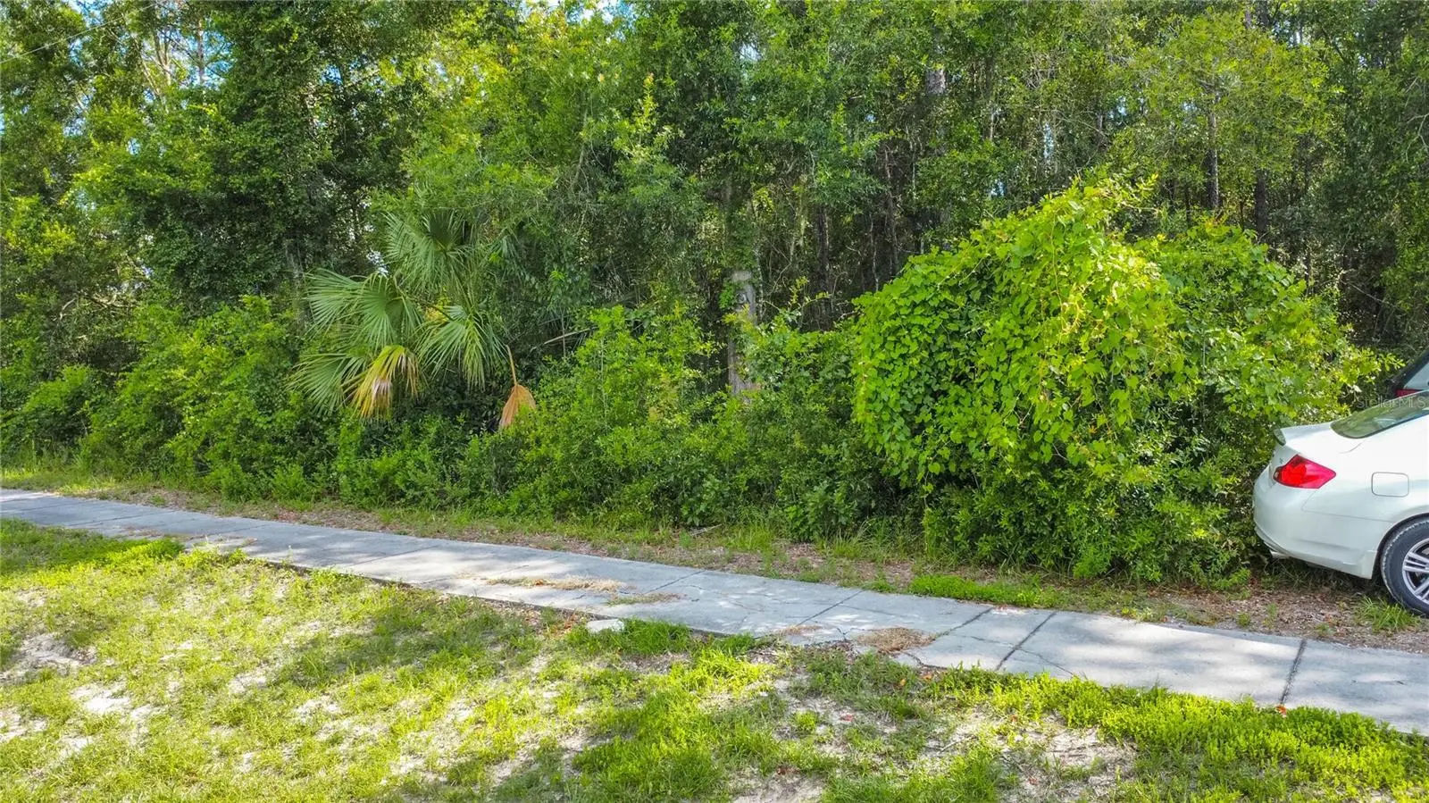 4176 Gulf To Lake Highway, FL