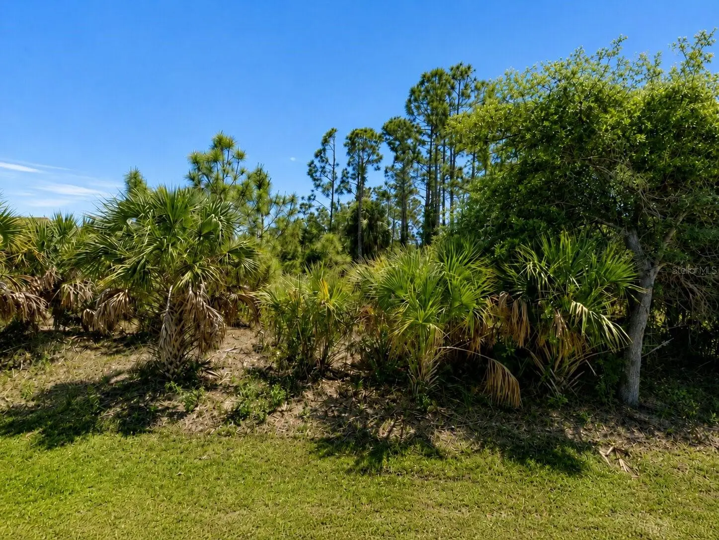 7132 Quarry Street, FL