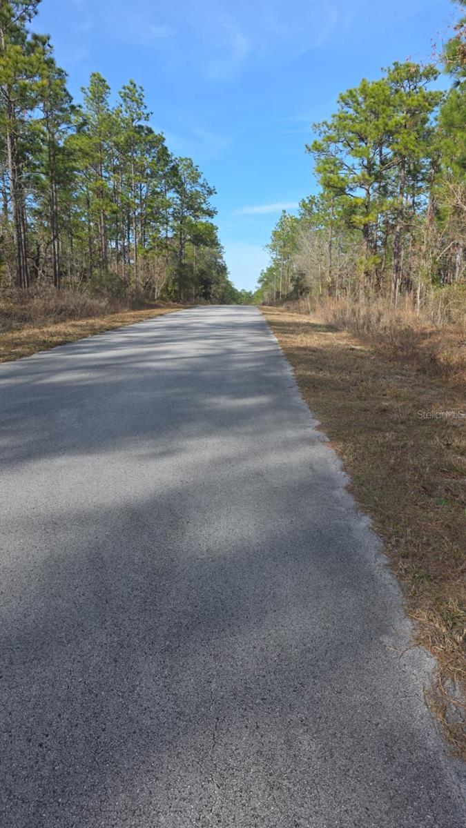 0 Nw Alvarez Rd Nw Alvarez Rd Highway, FL