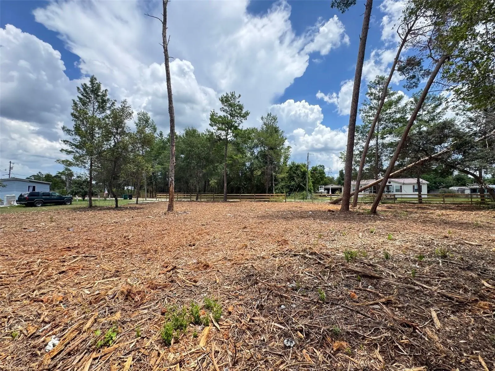 Pine Street, FL