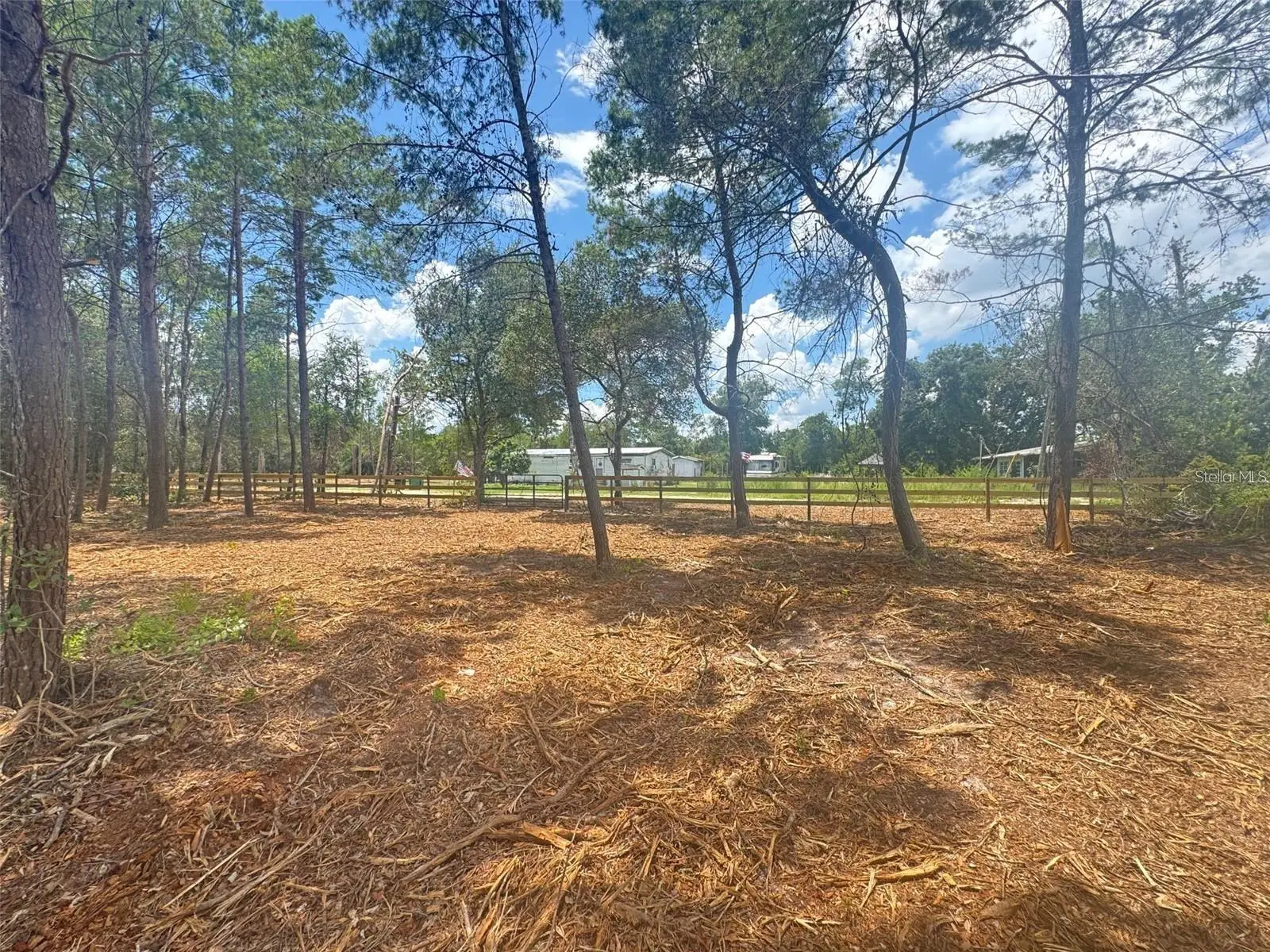 Pine Street, FL