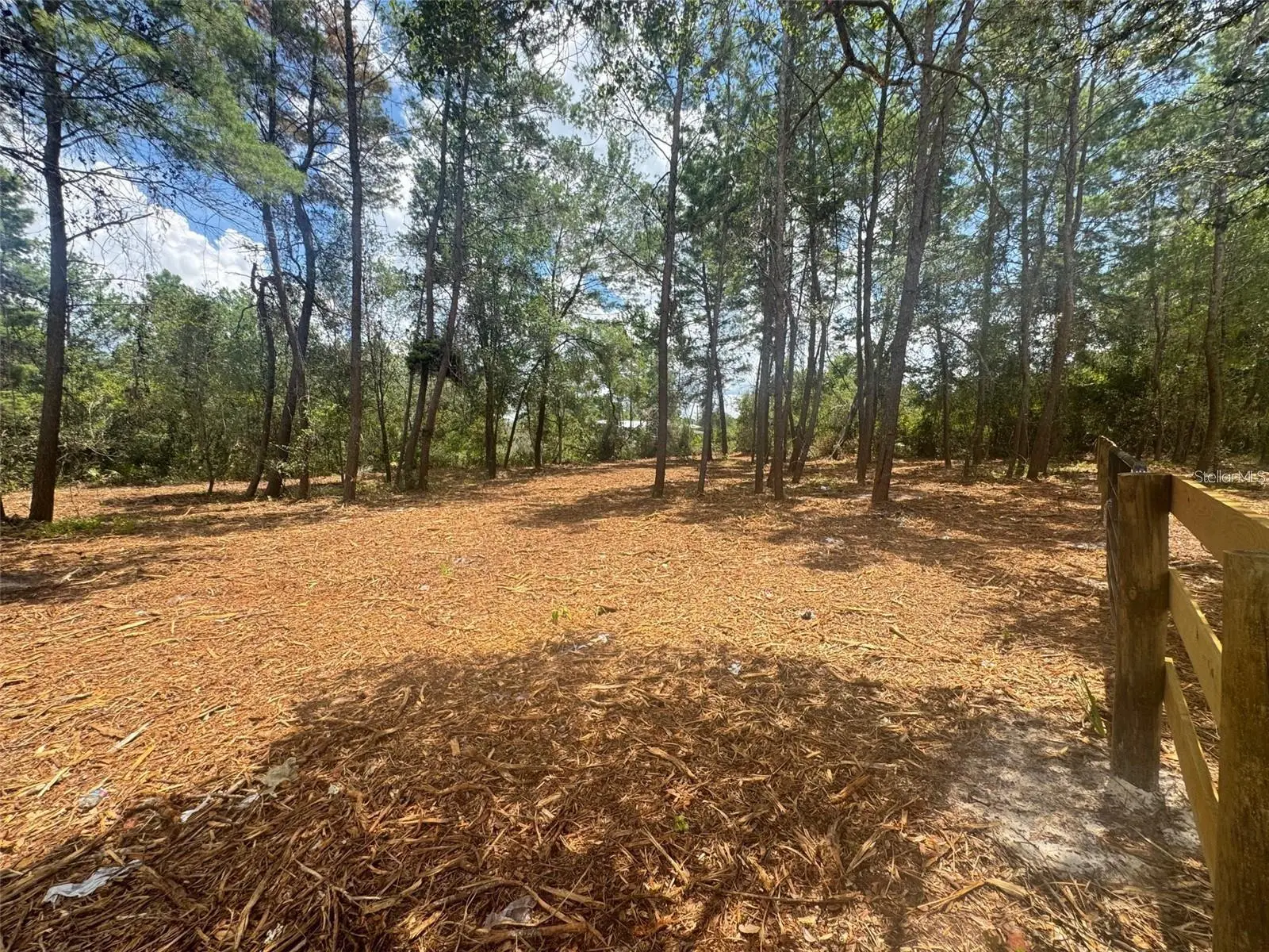 Pine Street, FL