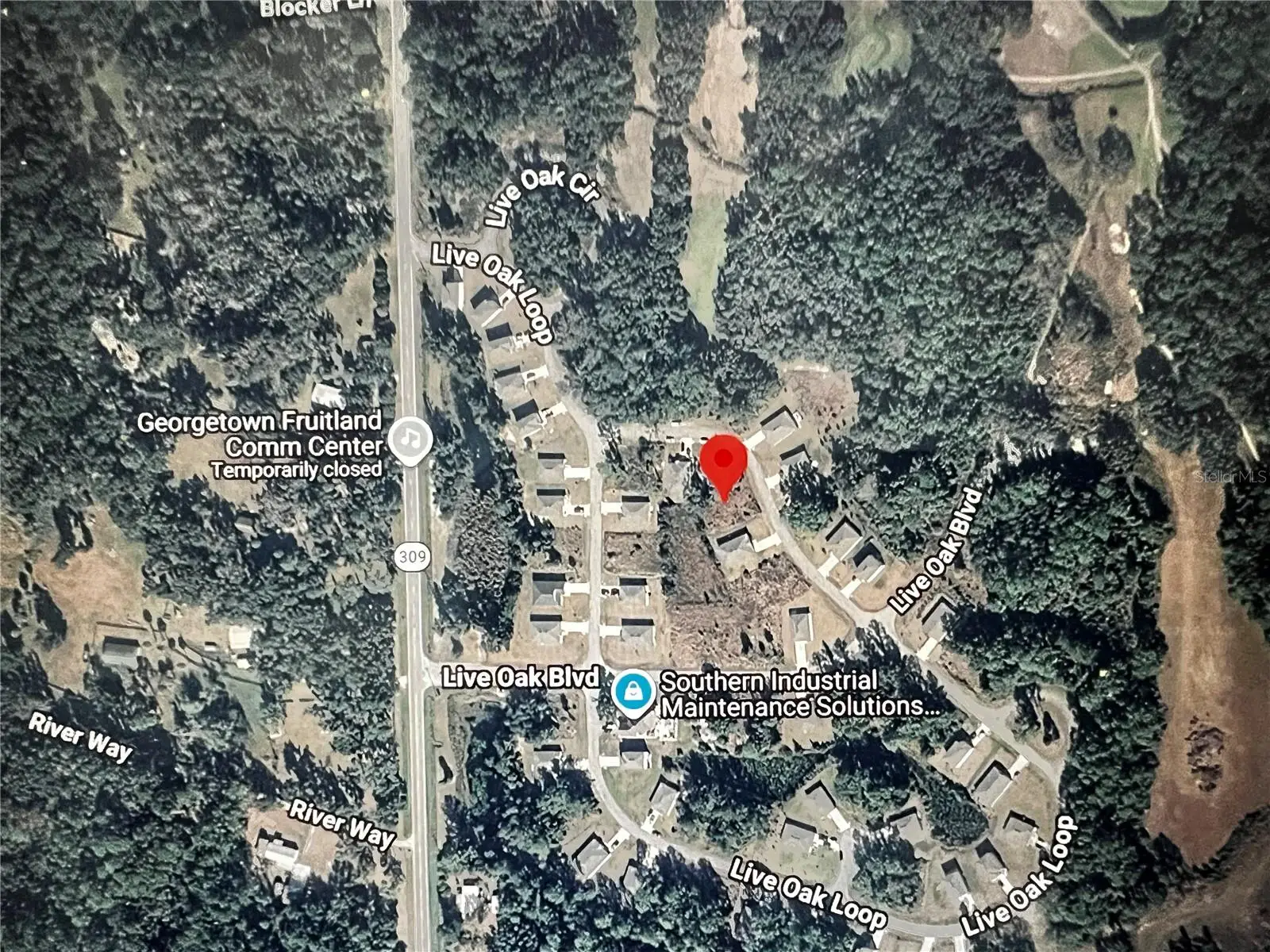 260 Live Oak Loop, FL