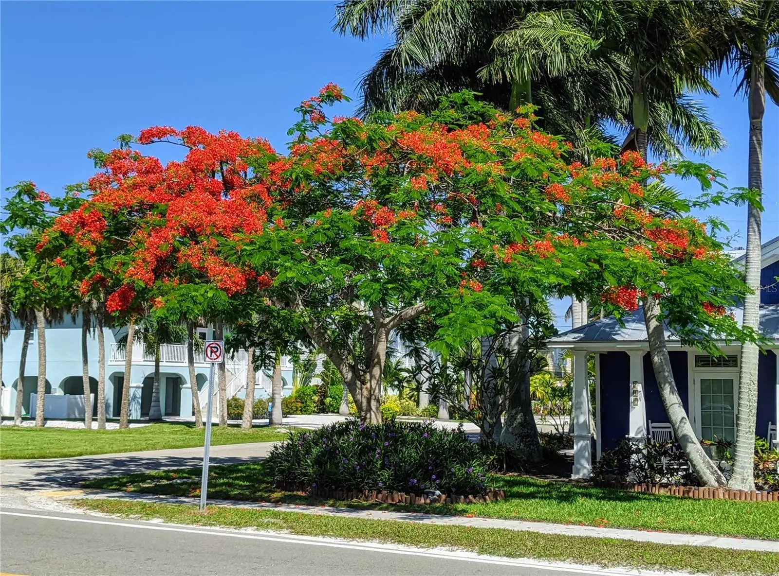 3564 Lake Bayshore Drive, FL