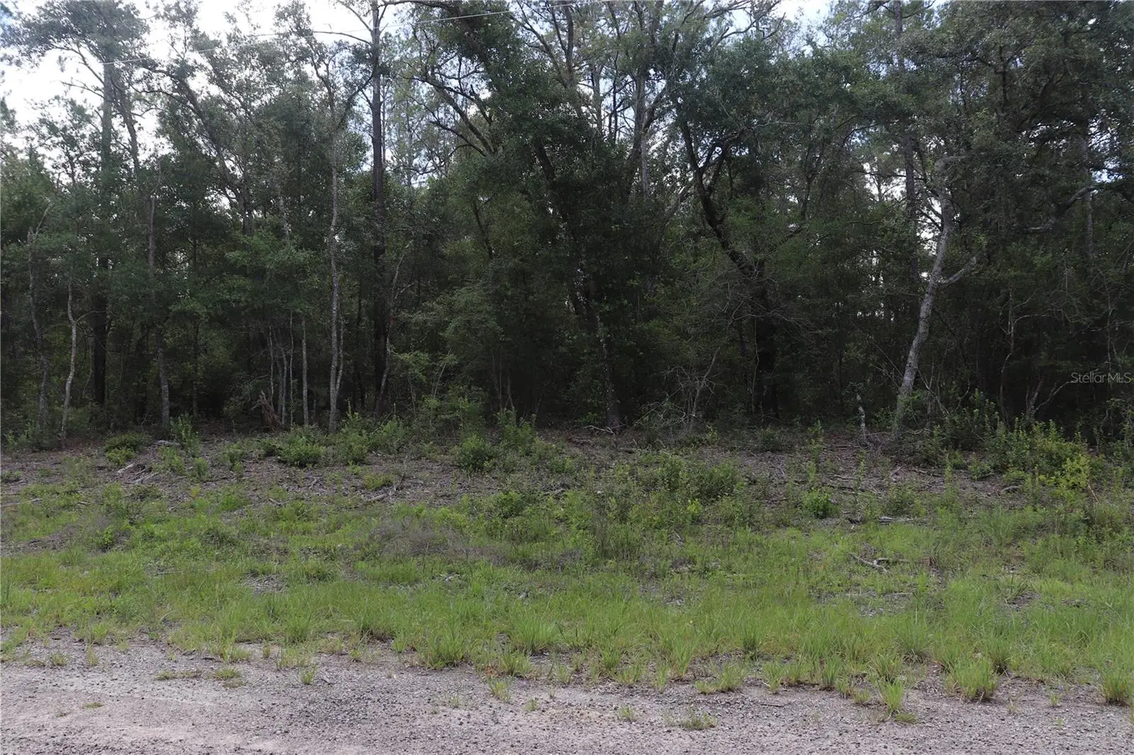653 Vercelli Lane, FL