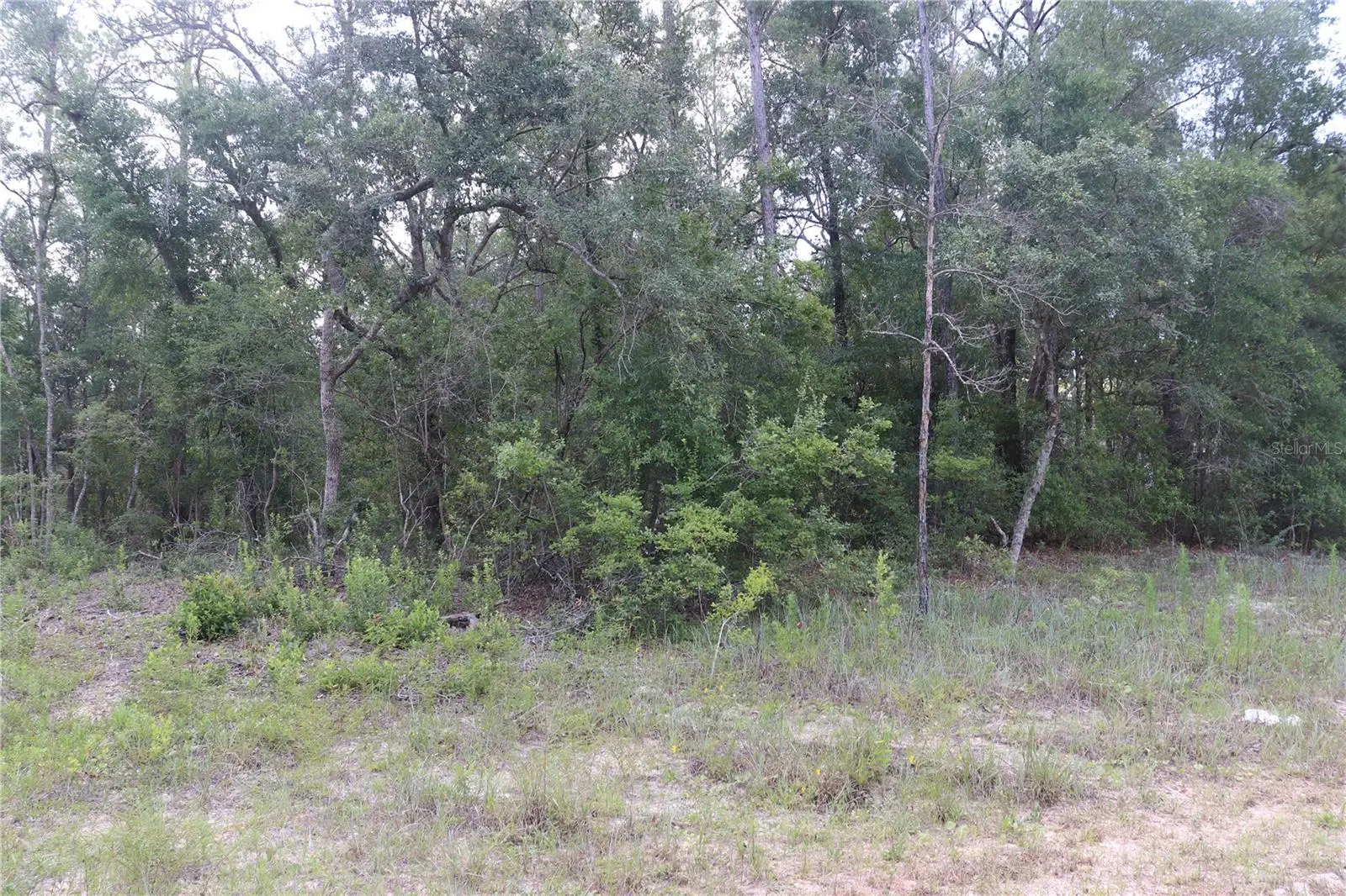 653 Vercelli Lane, FL