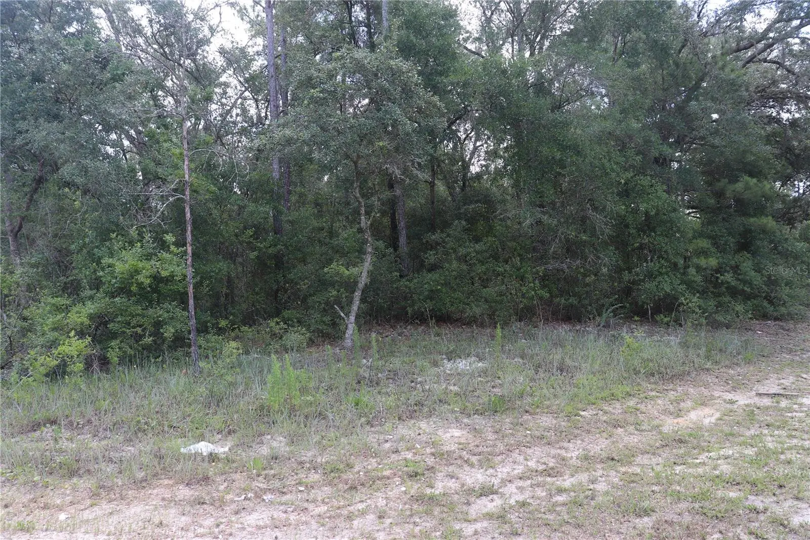 653 Vercelli Lane, FL