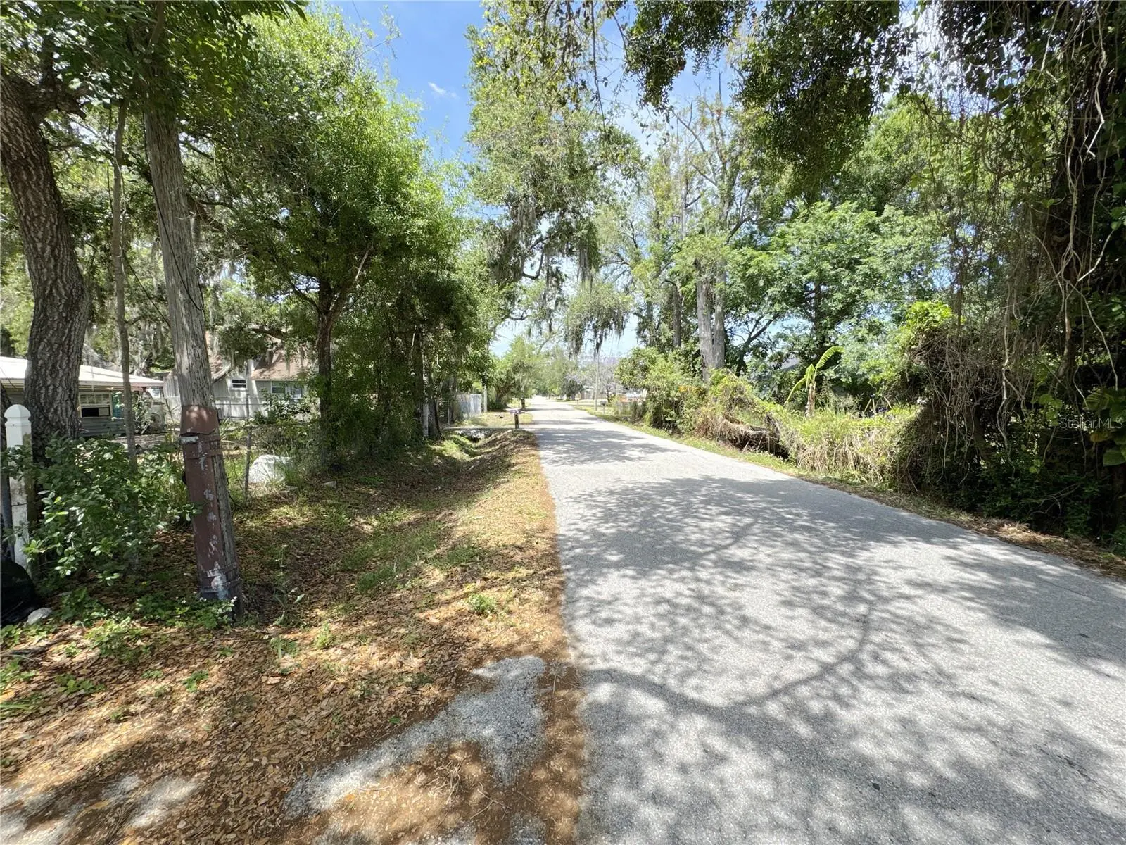 4103 Brazilnut Avenue, FL