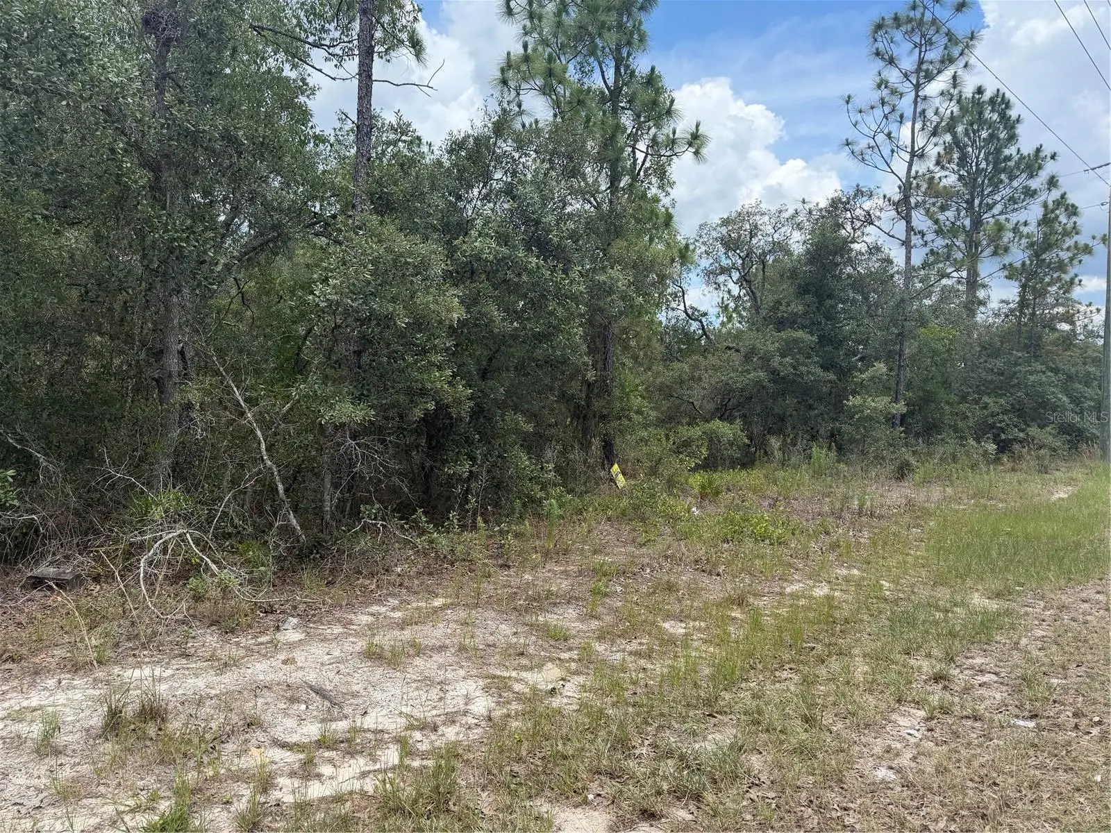 6215 Premiere Avenue, FL