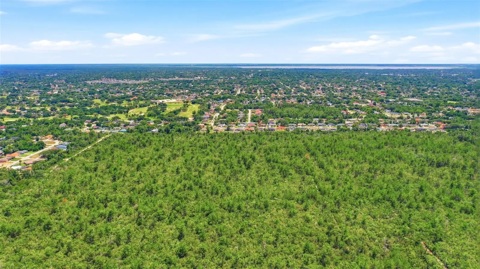Amelia (Paper) Avenue, FL