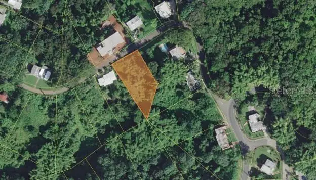 Lot#50 Miradero Gardens Dev., Pitirre St., PR
