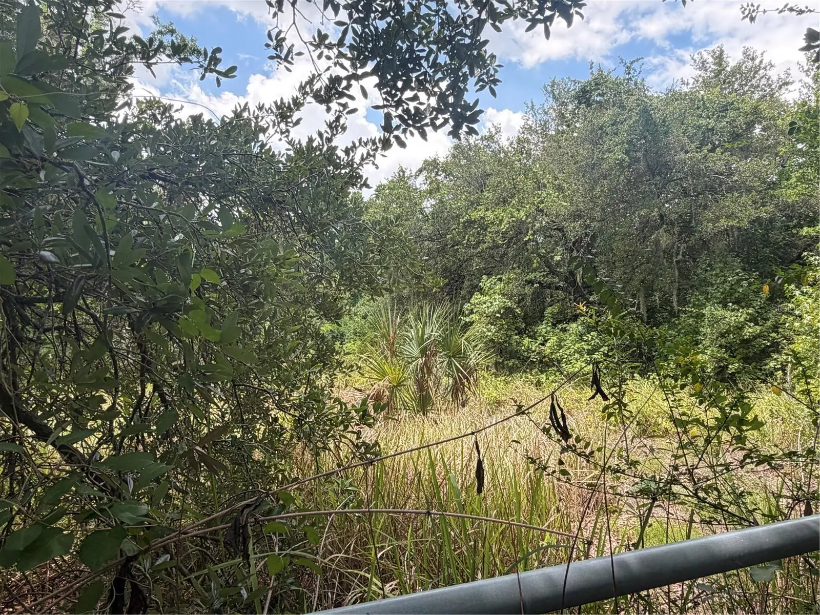 4447 Edwards Rd, FL
