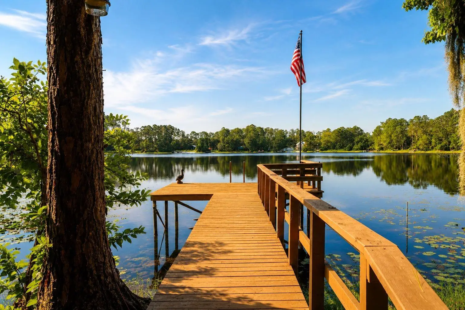 303 Riley Lake Drive, FL