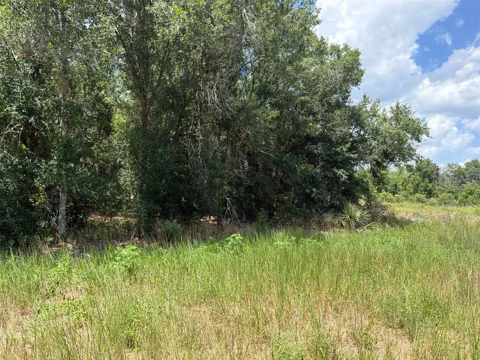 16171 254th Street, FL