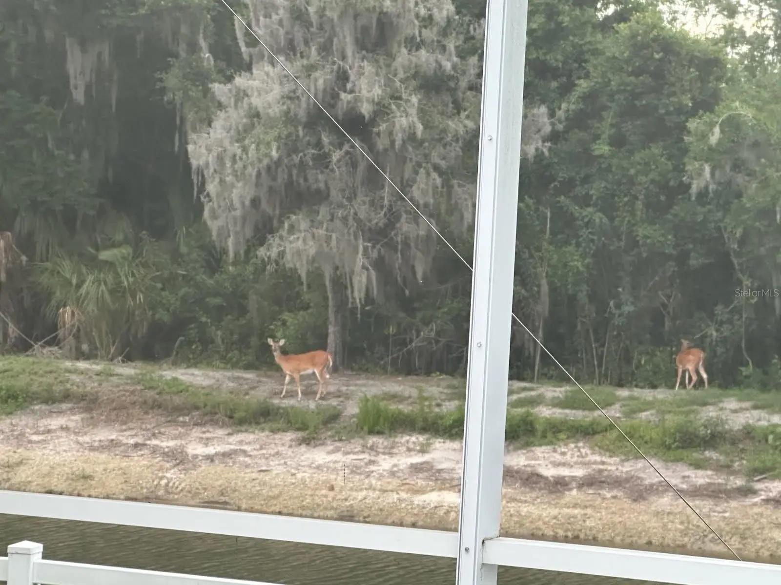 4527 Ferrys Mill Place, FL