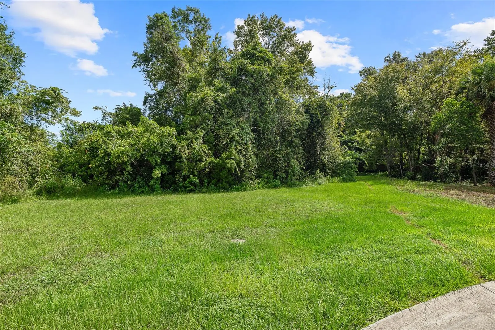 1082 Yaupon Street, FL