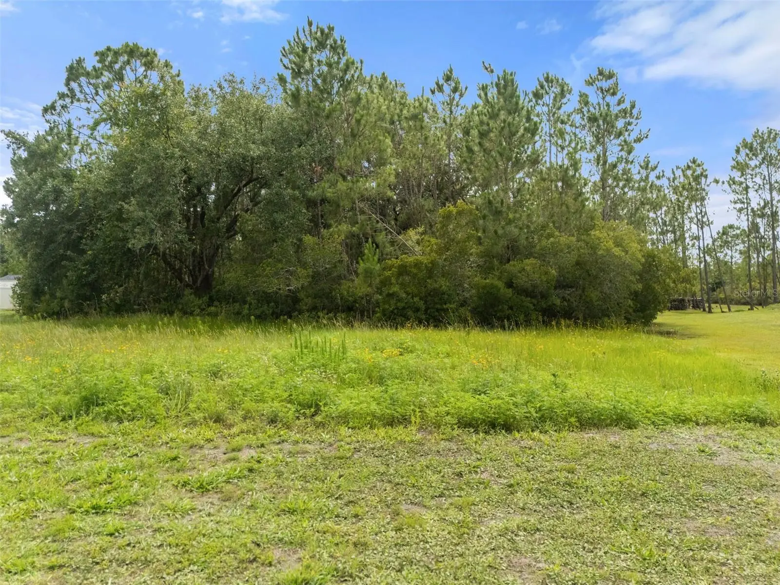 8017 Woodleaf Boulevard, FL