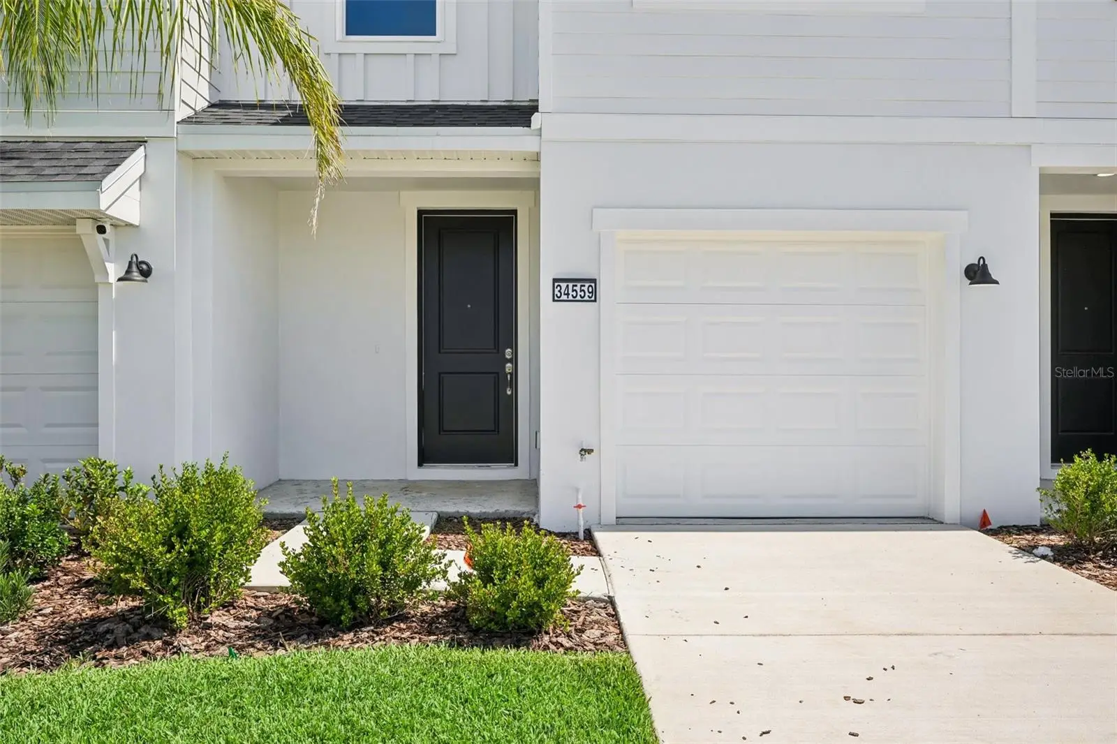 34559 Turpins Avenue, FL