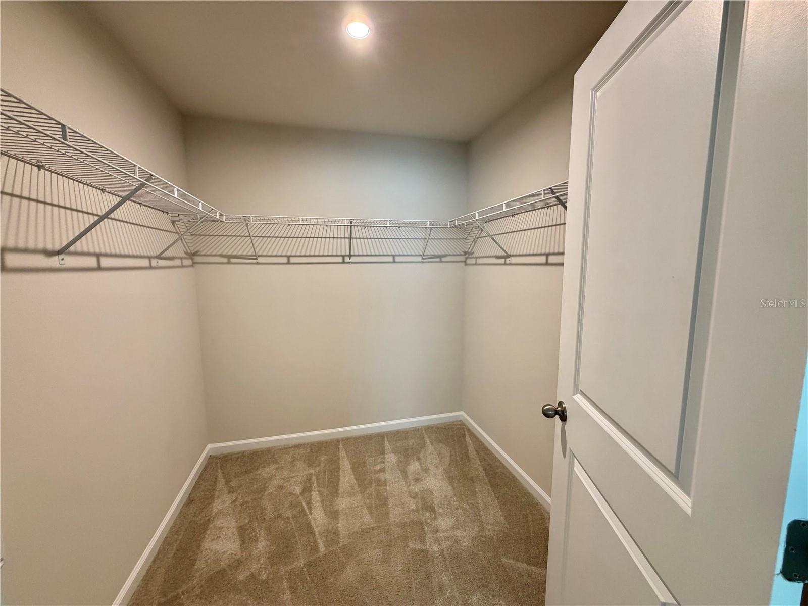 3974 Great Smokey Way, FL