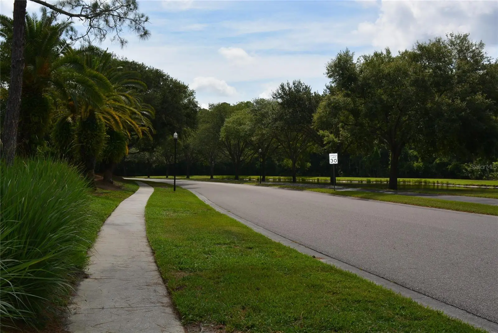 14648 Corkwood Drive, FL