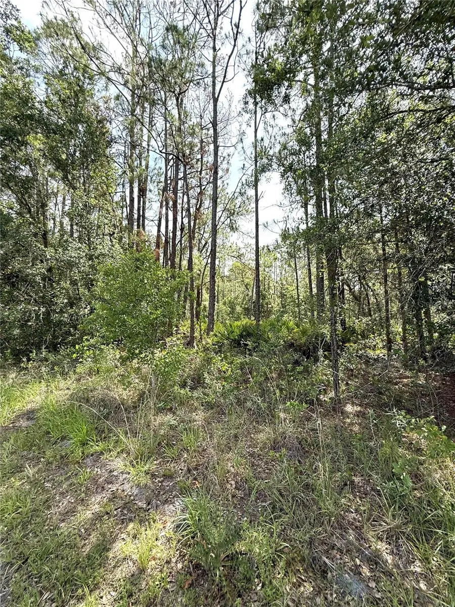 0 Lake Caloosa Landing, FL