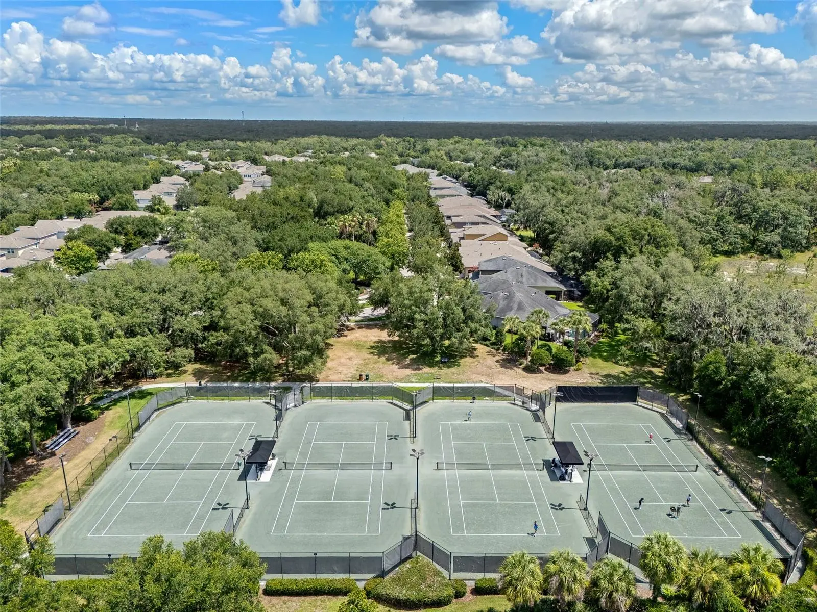 15814 Starling Water Drive, FL