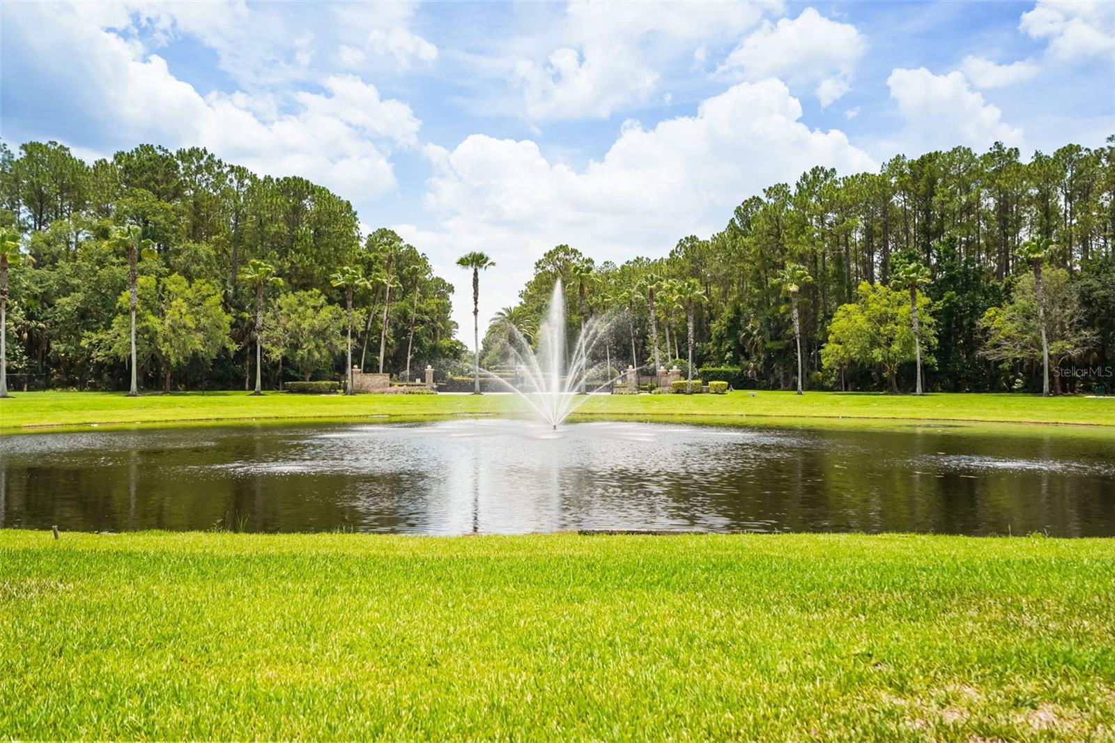 1699 Swallowtail Lane, FL
