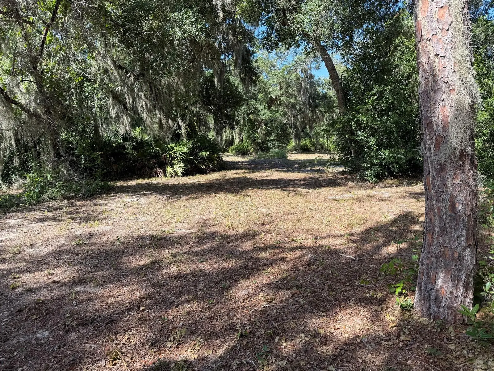 3113 Bright Lake Circle, FL