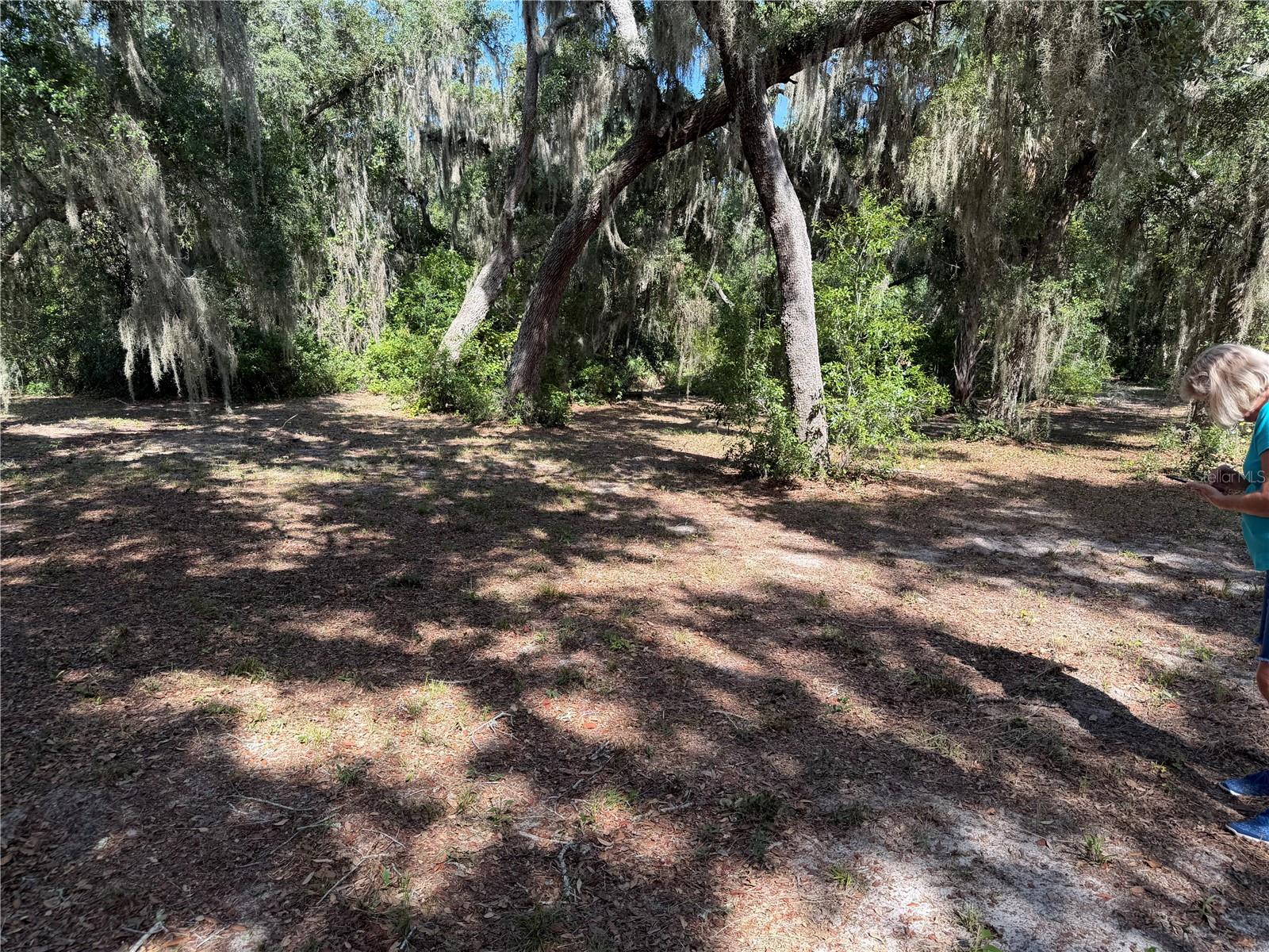 3113 Bright Lake Circle, FL