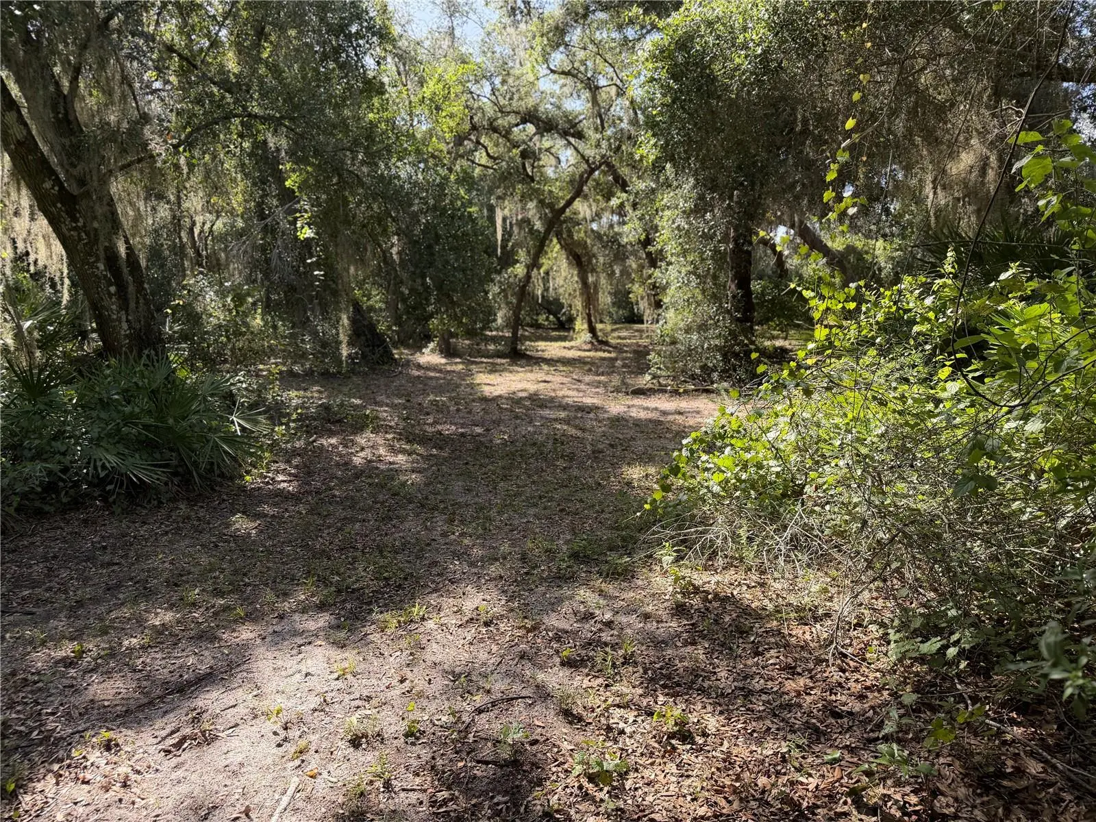 3113 Bright Lake Circle, FL