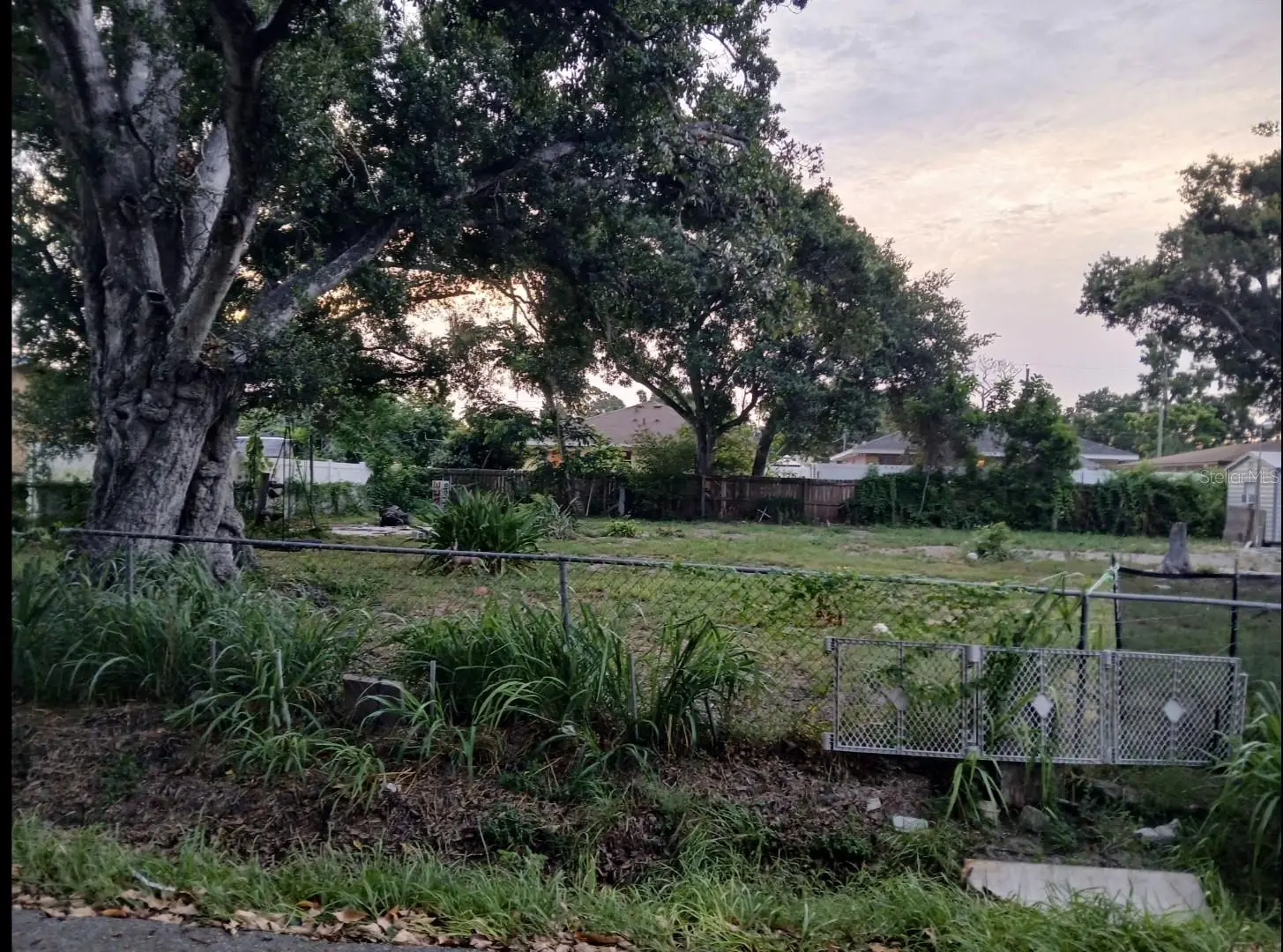 4116 Locust Avenue, FL