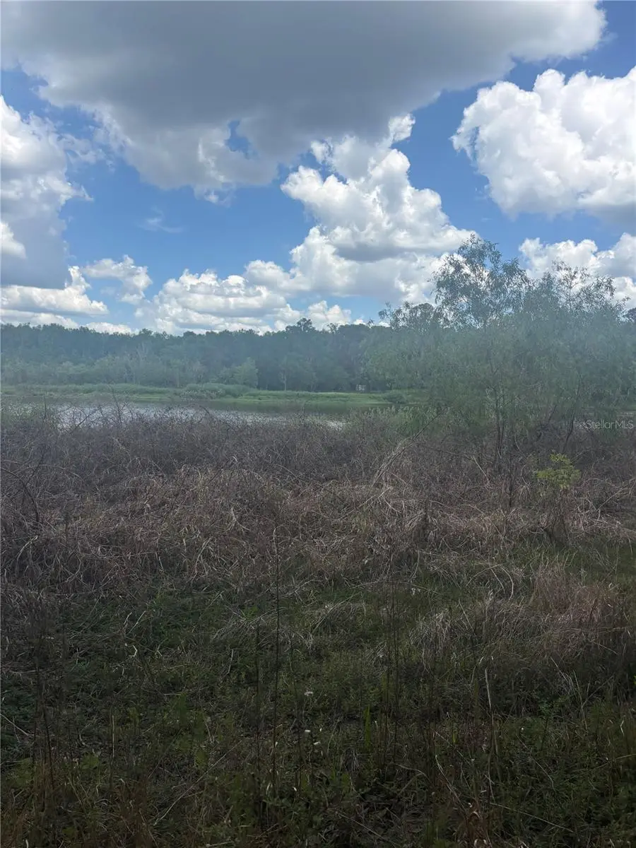 Deepwell Drive, FL