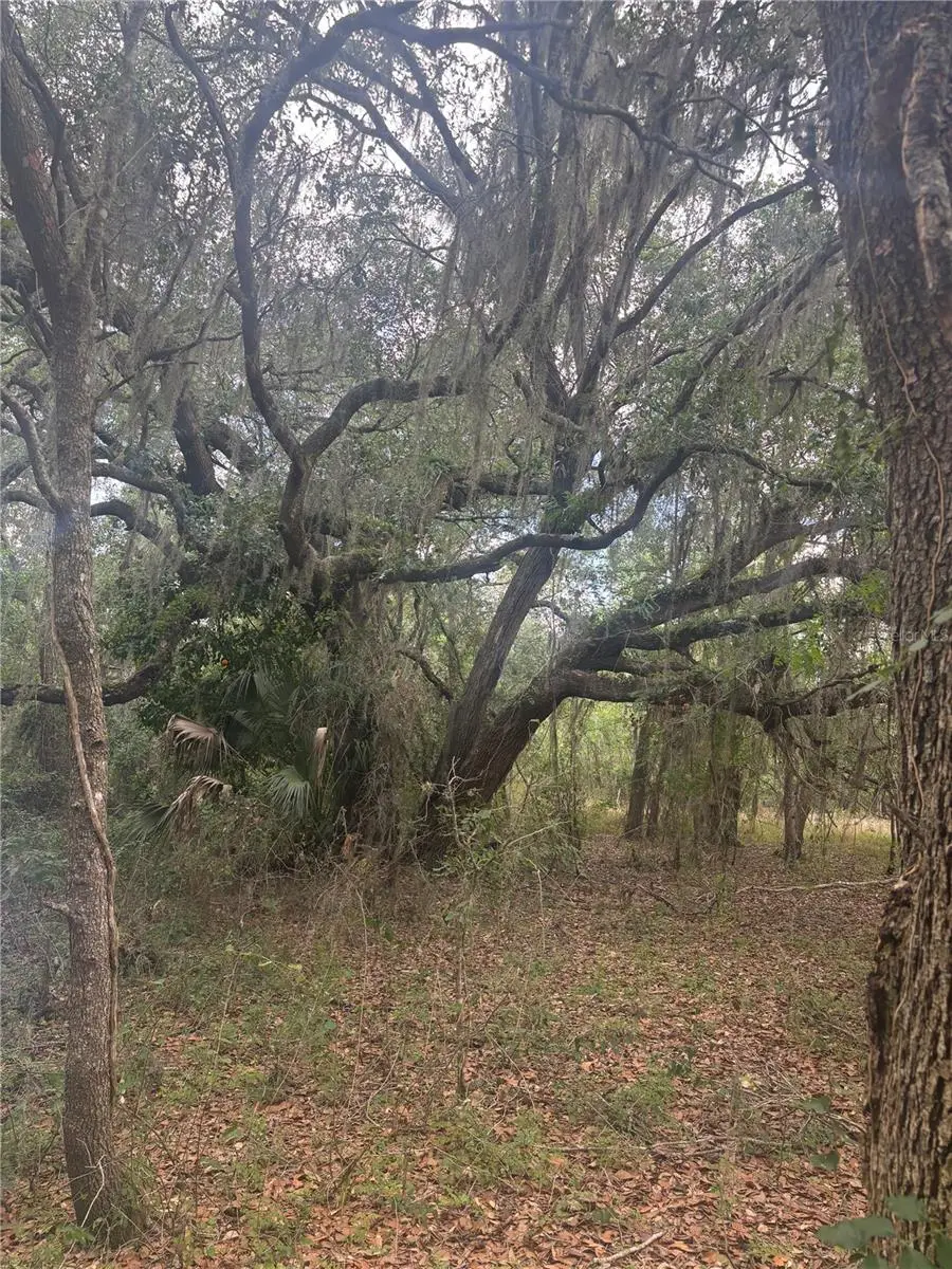Deepwell Drive, FL