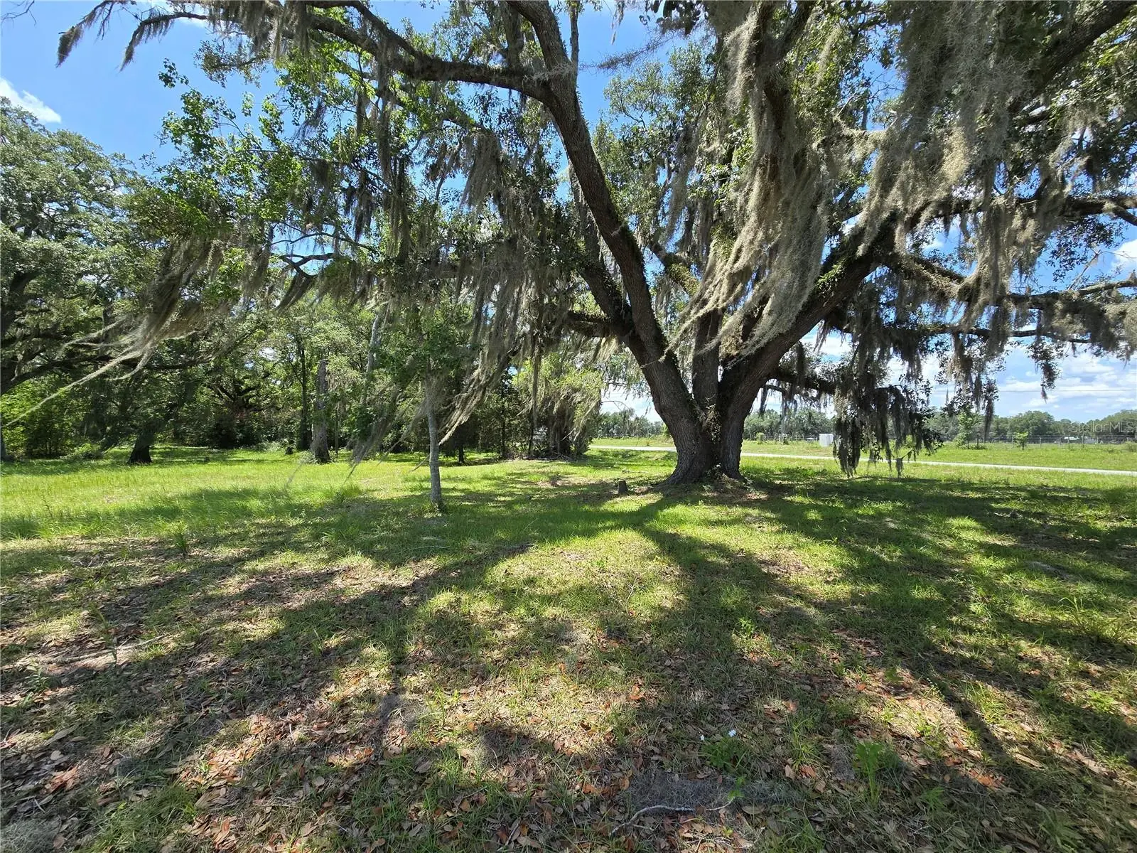 7563 County Road 405, FL